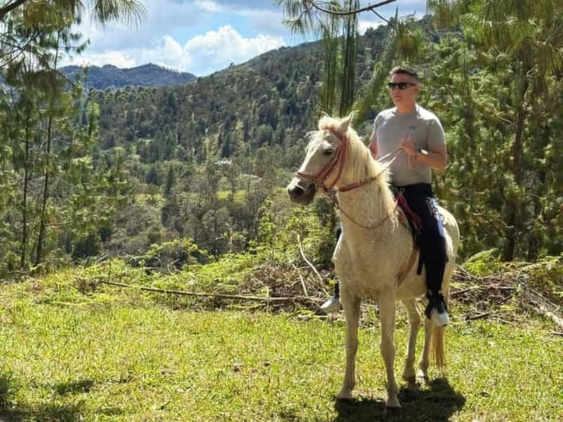 Billet Promenade à cheval de 2 heures + Transport privé + Photos et vidéos + Cadeau pour les 5 premières réservations.