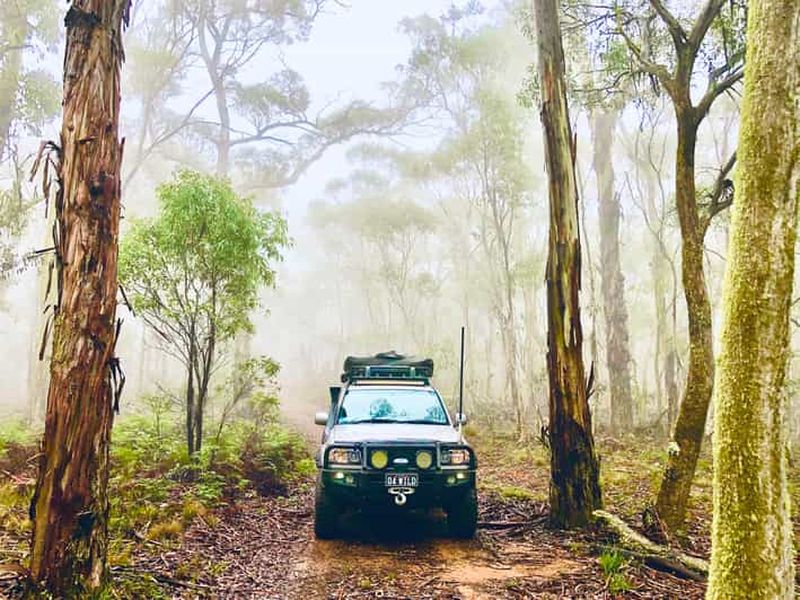 Billet Au départ de Sydney : 2 jours de camping en 4x4 et de croisière dans les Blue Mountains