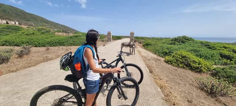 Billet Depuis Porto Torres : location de vélos électriques