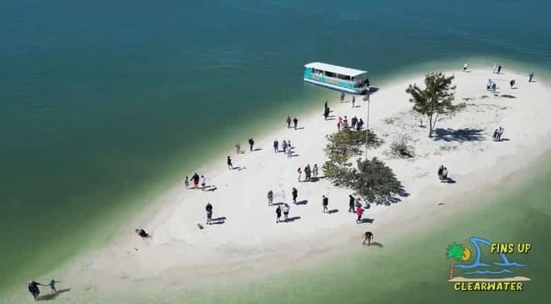 Billet Clearwater Beach : Croisière pour les dauphins et les îles Sandbar