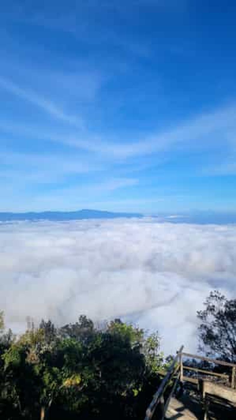 Billet USAMBARA : Circuit de 4 jours de randonnée dans les montagnes d'Usambara