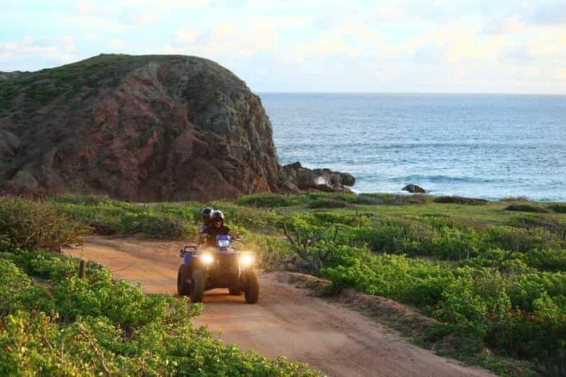 Billet Los Cabos : Excursion en quad sur la route de l'araignée