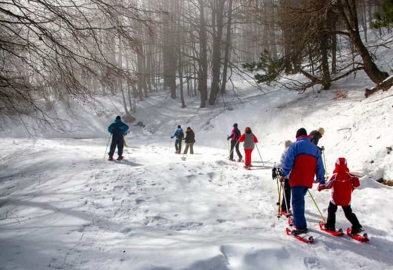 Billet Parc national de la Sila : randonnée en raquettes guidée pour les familles.