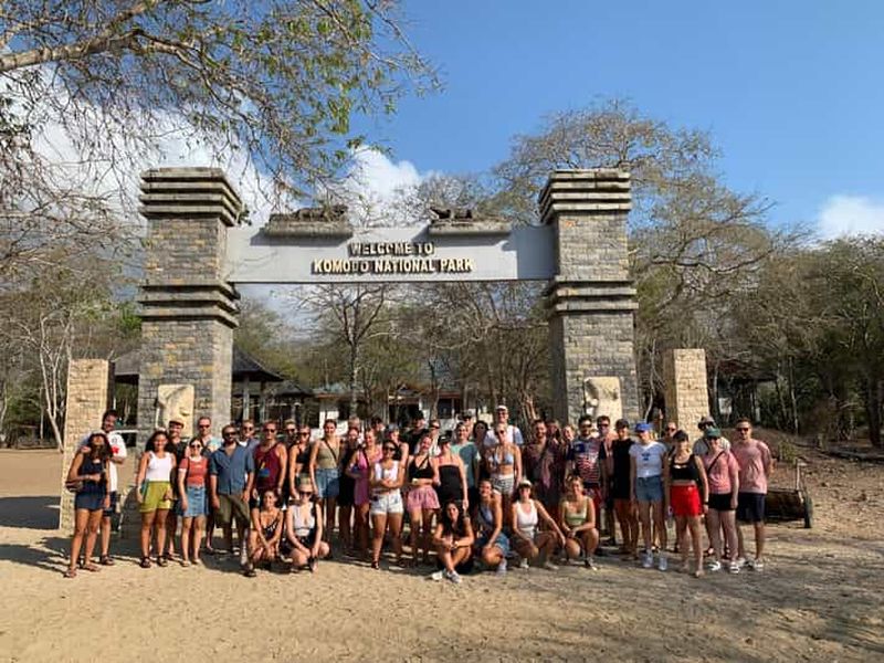 Billet Au départ de Kopang : île de Komodo et excursion pour observer les requins baleines, excursion de 4 jours