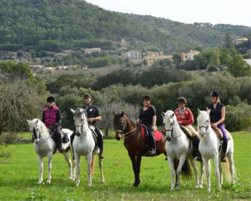 Billet Majorque : promenade à cheval guidée dans la vallée de Randa