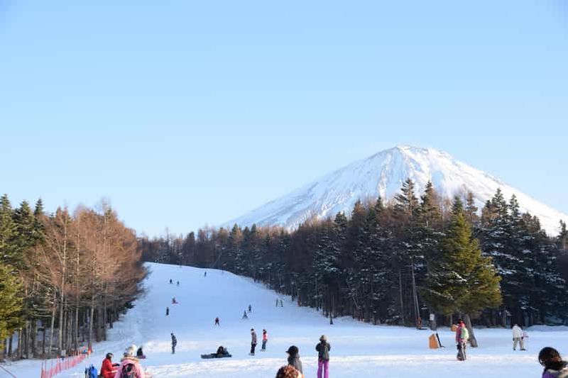 Billet Tokyo : Excursion d'une journée à ski ou en snowboard