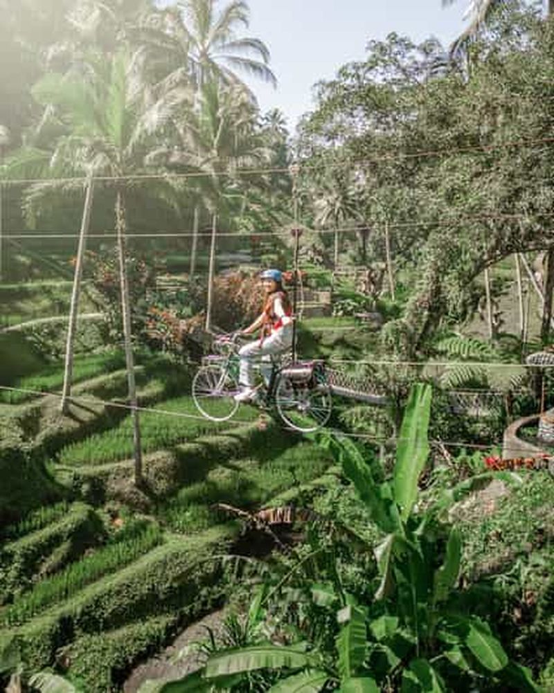 Billet Bali : aventure en buggy, Sky Bike et plantation de café