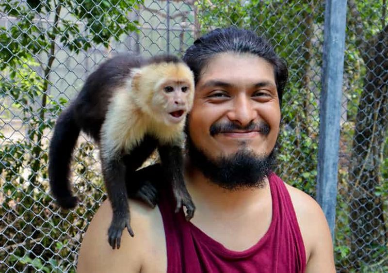 Billet Akumal : exploration du sanctuaire des singes, circuit en quad et cénote