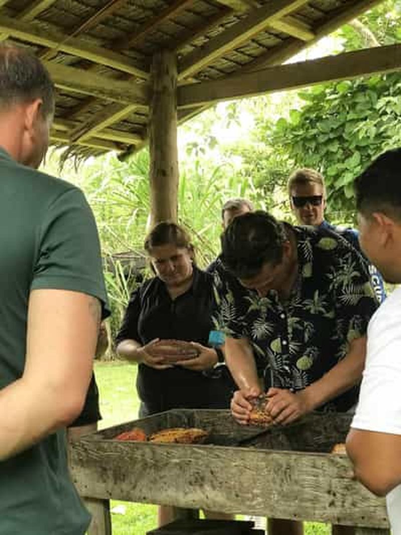 Billet Bohol : fabrication de chocolat, de la plante à la table