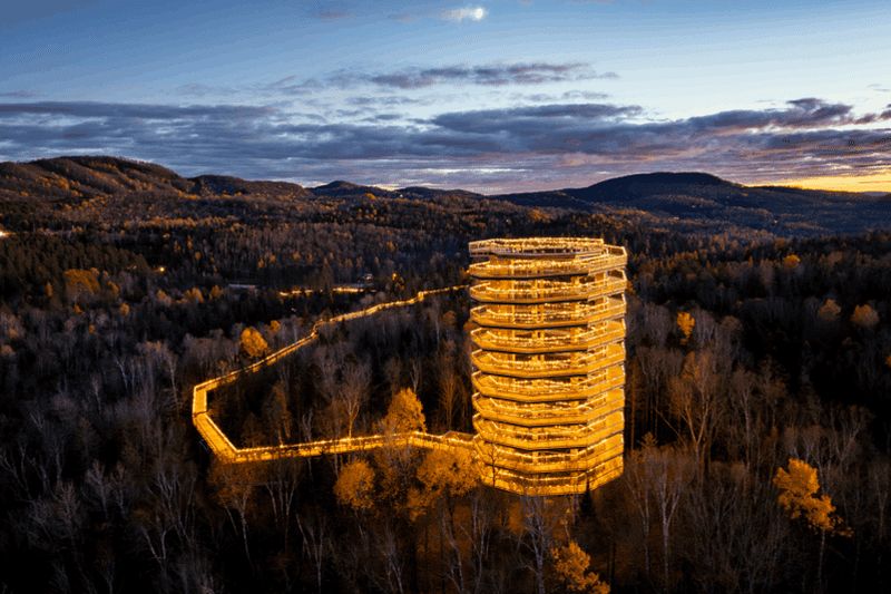 Billet Sentier des cimes Laurentides : observatoire et promenade dans la canopée