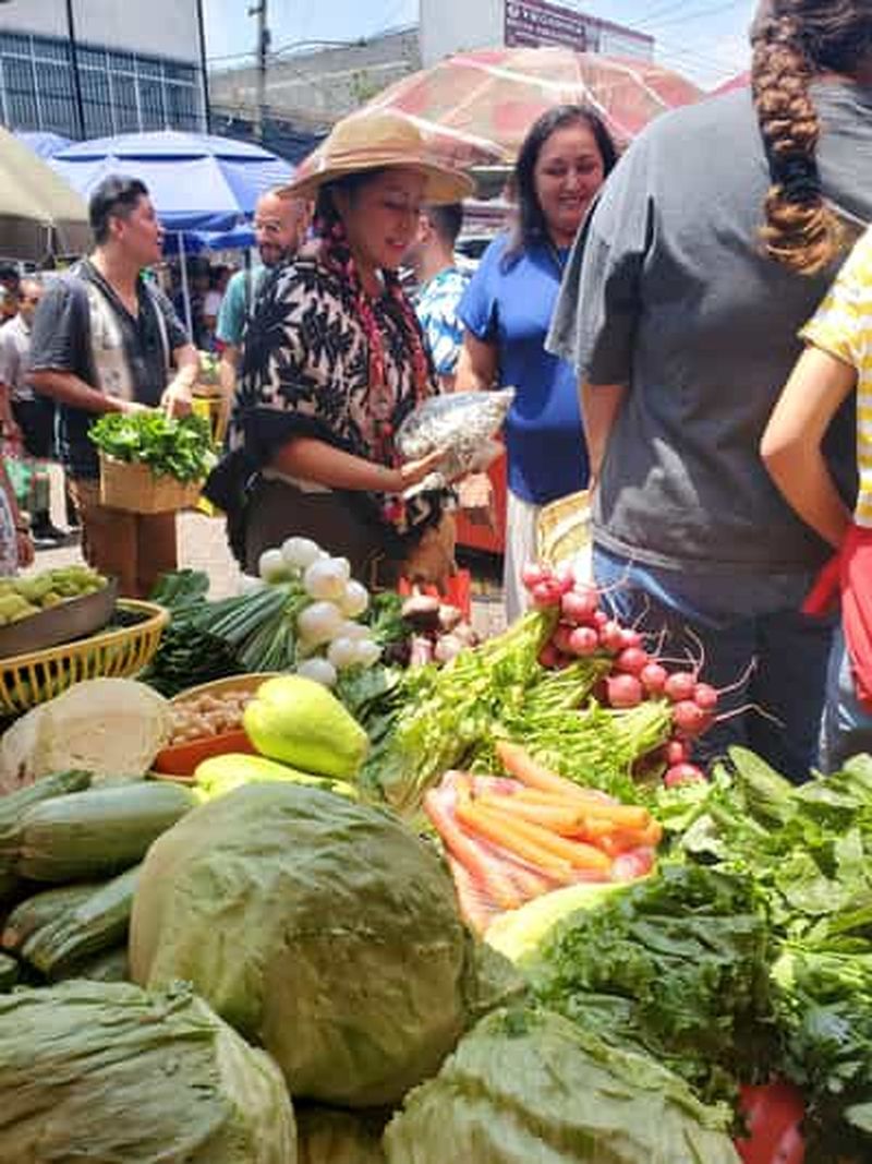 Billet Xochimilco : Marché, nourriture et nature ¡Tout compris ! Visite