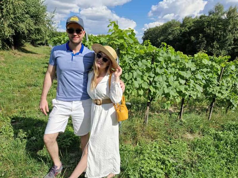 Billet De Cracovie : Dégustation de vins dans un vignoble