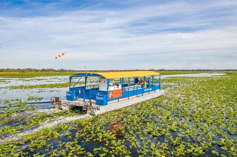 Billet Kissimmee : tour en bateau ponton d'une heure dans les Everglades de Floride