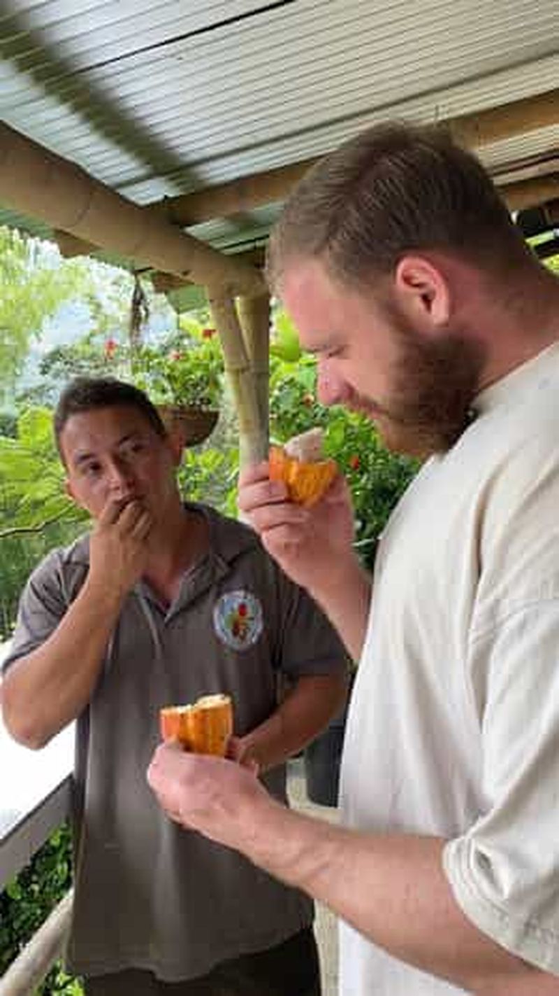 Billet Medellin : visite de fabrication de chocolat et gommage au cacao