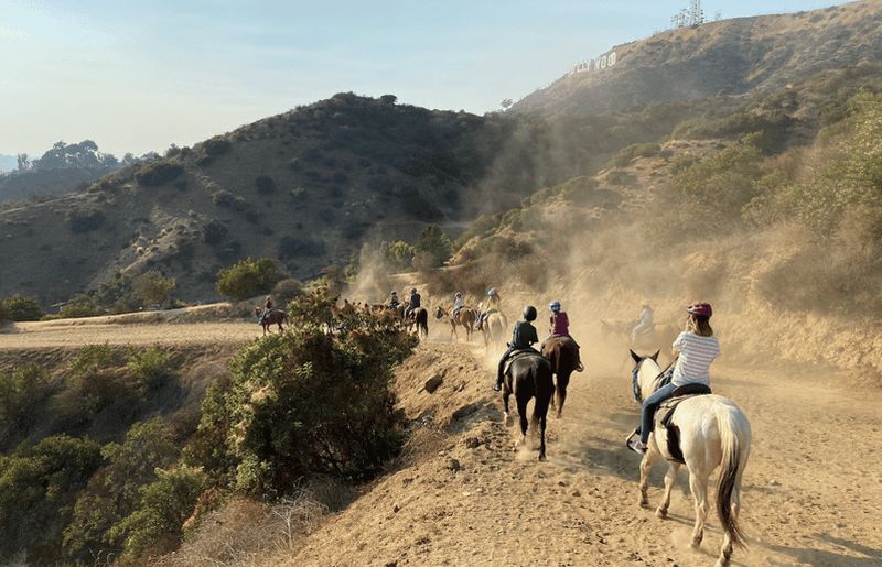 Billet Los Angeles : Visite à cheval de Mulholland Trail