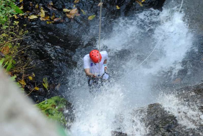 Billet Jaco : Canyoning et excursion dans la canopée