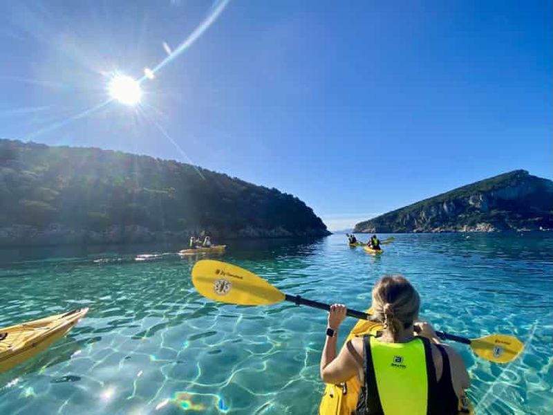 Billet Golfo Aranci : visite en petit groupe en kayak avec apéritif et dauphins