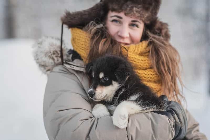 Billet Levi : Visite de la ferme des chevaux et des huskys avec jus de fruits et biscuits
