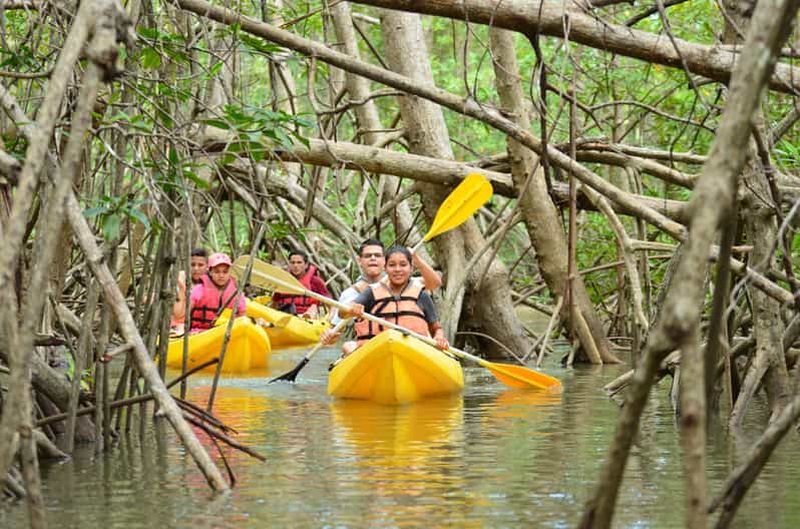 Billet Quepos : Excursion en kayak dans la mangrove