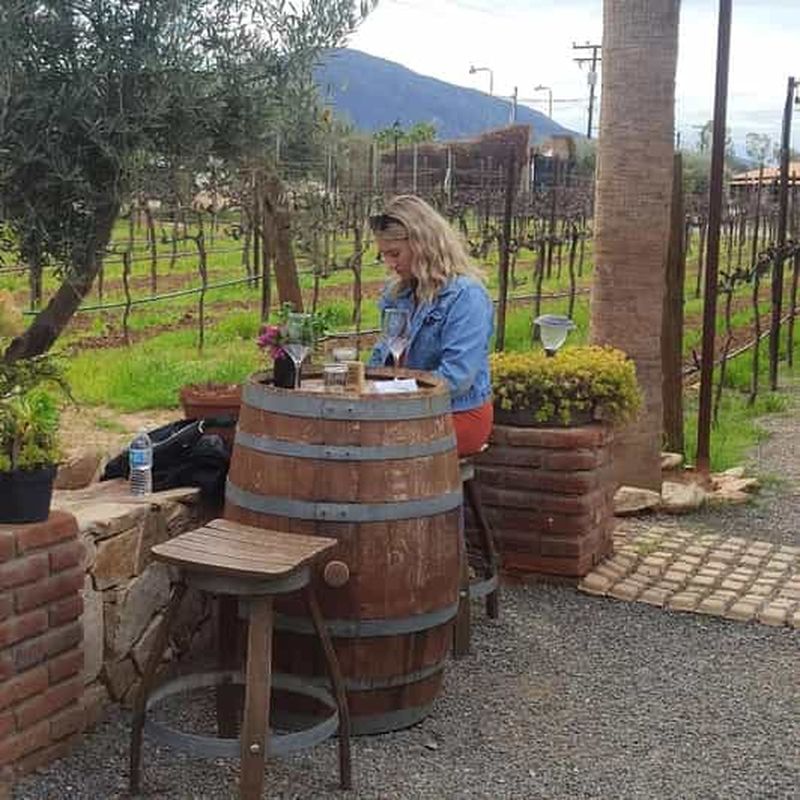 Billet Ensenada : Dégustation de fromages et de vins de la vallée d'Ojos Negros