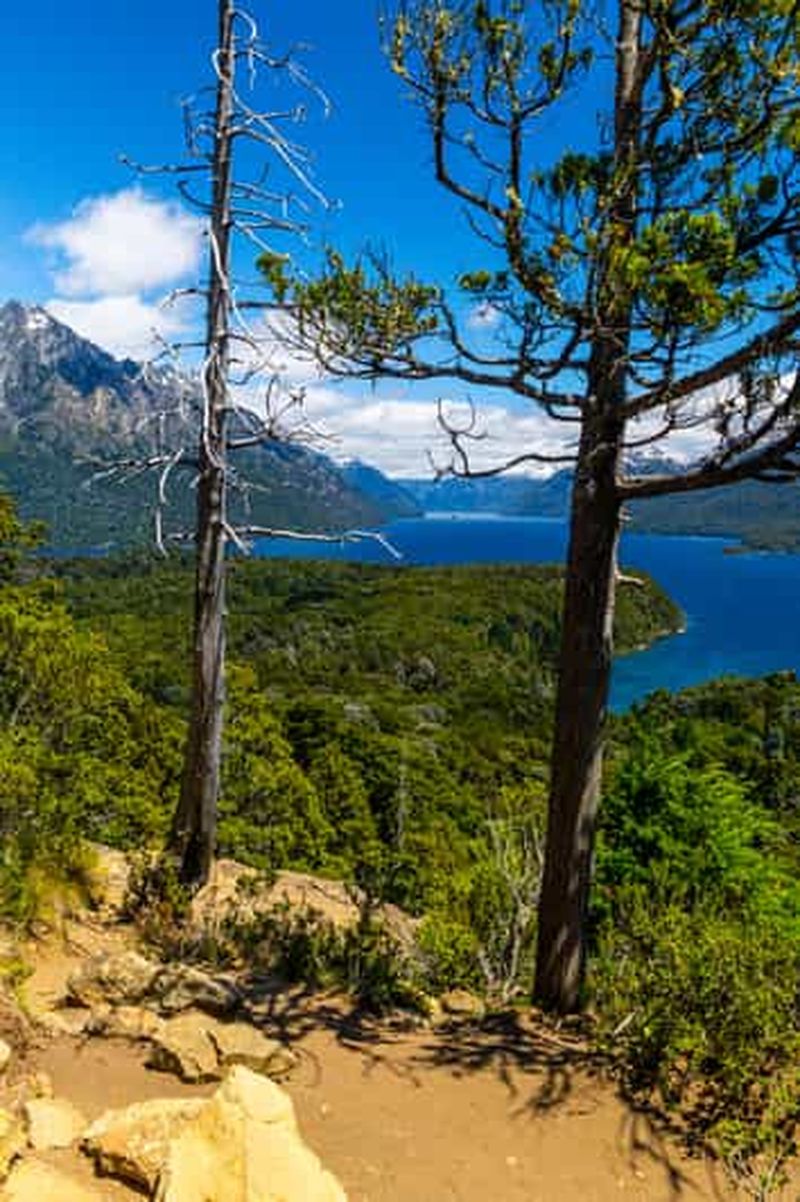 Billet Bariiloche : Trekking guidé à la colline de Llao Llao