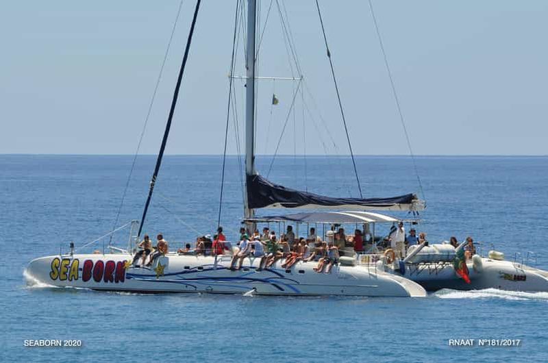 Billet Funchal : Cabo Girão, dégustation de vins et observation des dauphins