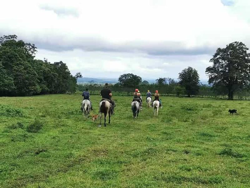 Billet La Fortuna : balade à cheval jusqu'à la cascade de La Fortuna