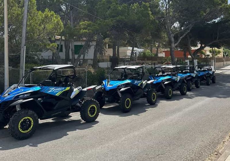 Billet Paguera : 2 heures d'excursion en buggy