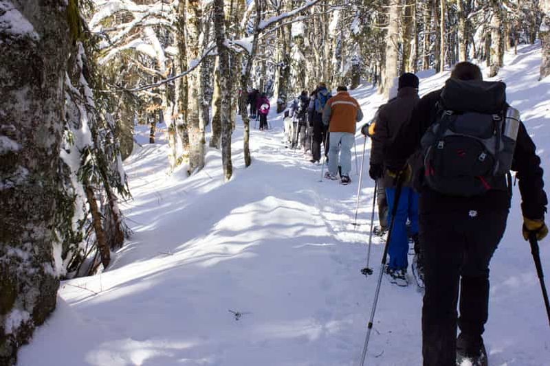 Billet Feldberg : Visite guidée en raquettes à neige dans la Forêt-Noire