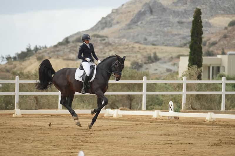 Billet Plakias : cours d'équitation