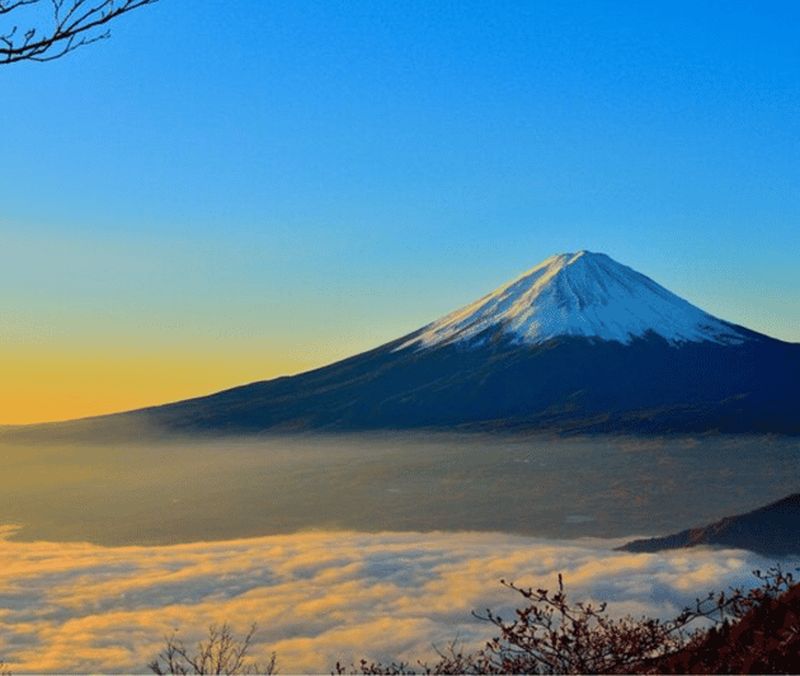 Billet Excursion privée d'une journée au Mont Fuji avec chauffeur anglais