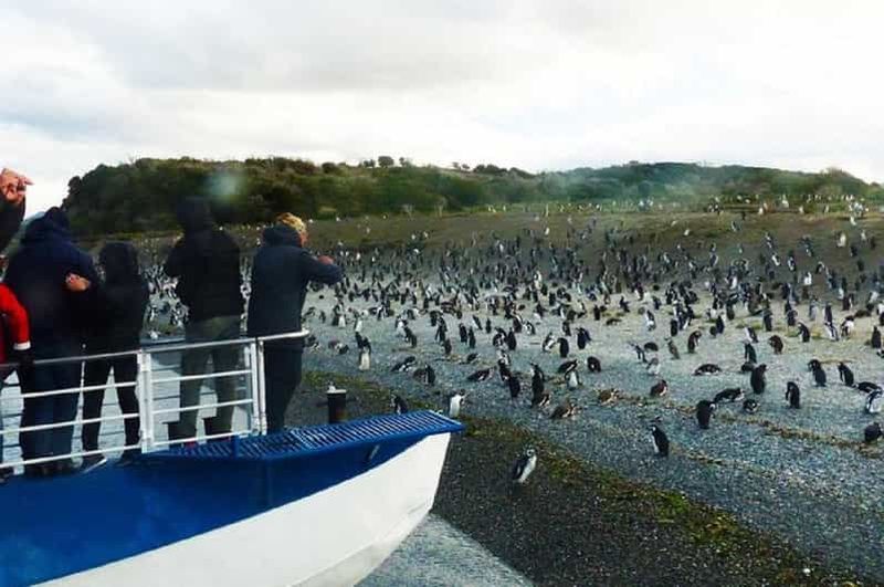 Billet Ushuaia : Navigation sur le canal de Beagle jusqu'à la colonie de pingouins