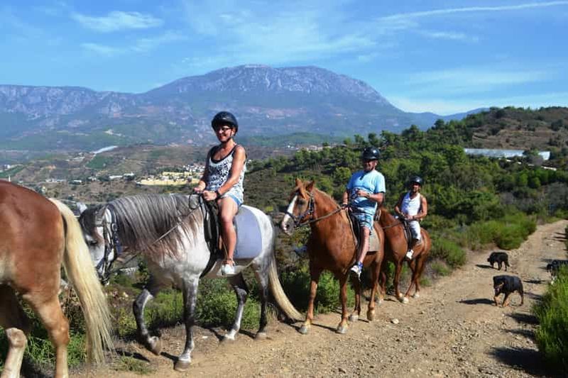 Billet Promenade à cheval de 2h30 à Alanya : vues sur la forêt et la mer