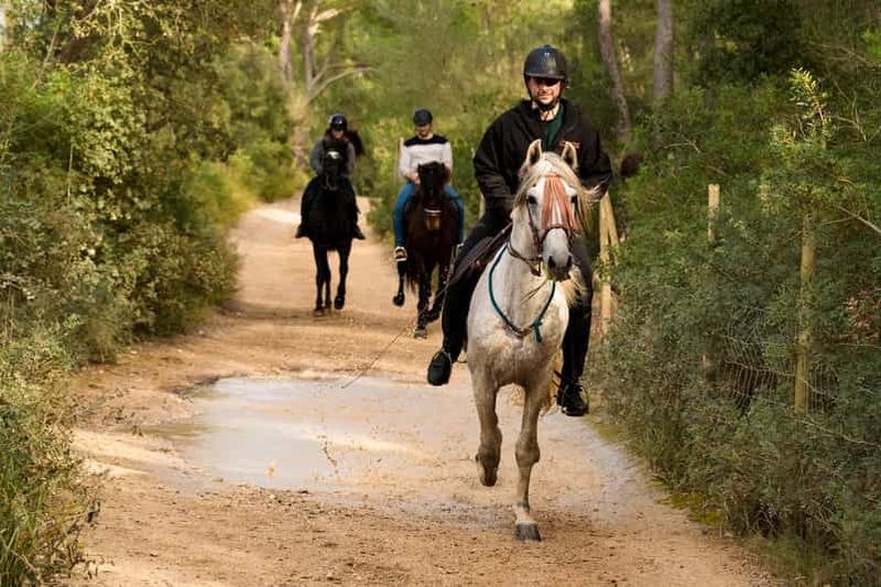 Billet Majorque : Promenade à cheval authentique dans la campagne majorquine
