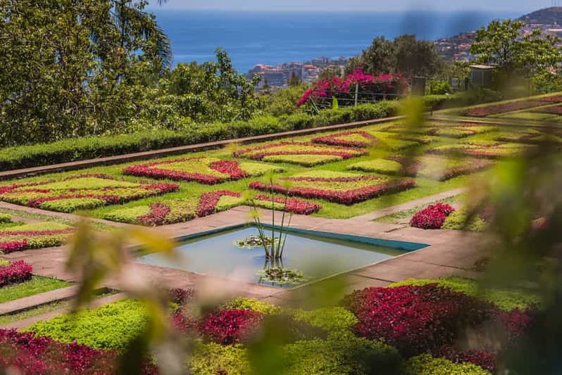 Billet Funchal : visite privée en tuk-tuk du jardin botanique et de la vieille ville