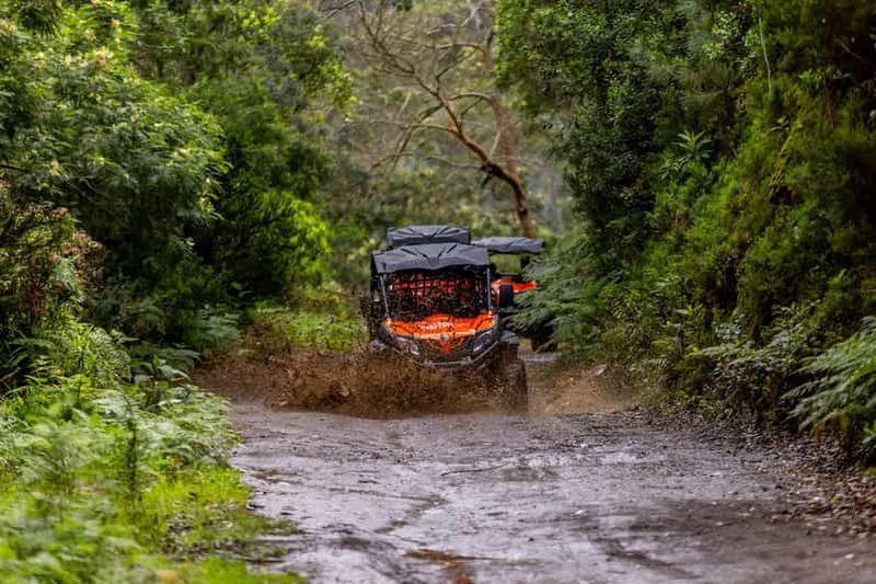Billet Madère : aventure hors-piste en buggy à travers la forêt de Laurissilva