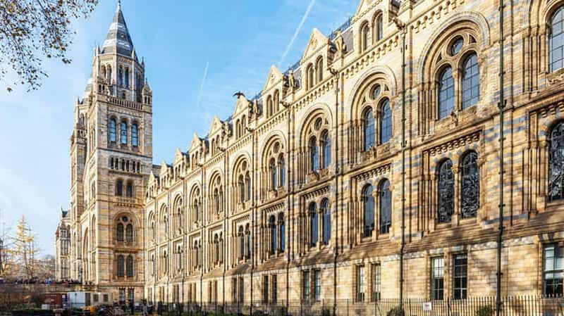 Billet Musée d'Histoire Naturelle : des merveilles du Diplodocus à la baleine bleue