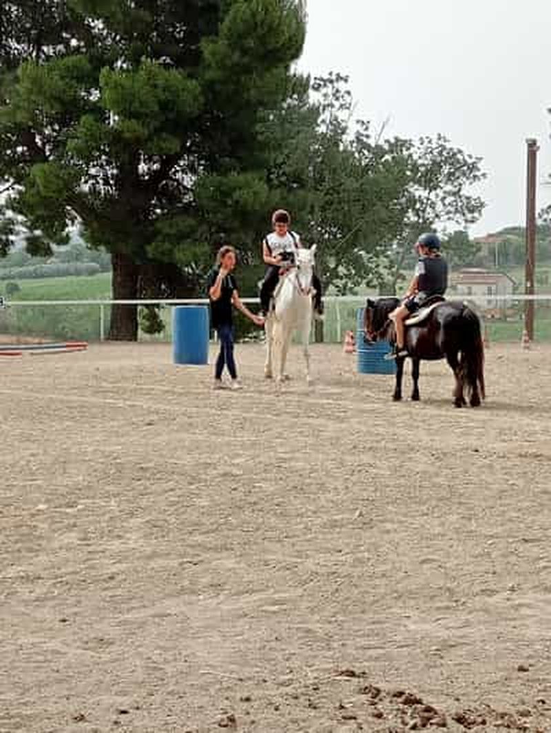 Billet Recanati : Cours d'équitation pour enfants et adultes