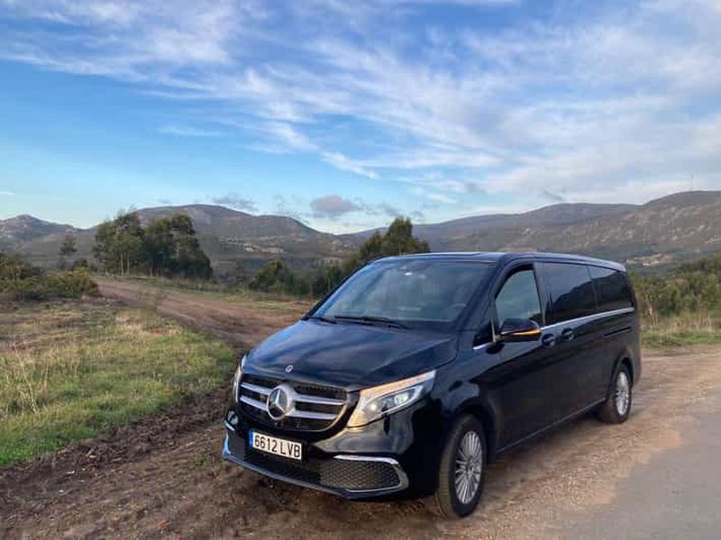 Billet Transfert privé du centre-ville de Grenade à l'aéroport de Malaga (Agp)