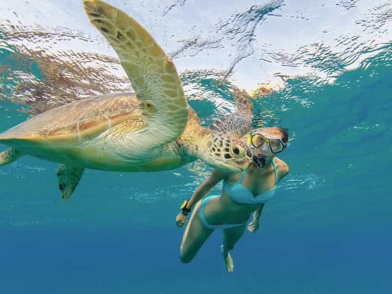 Billet Oahu : plongée en apnée avec les tortues, scooter des mers, planche à pagaie