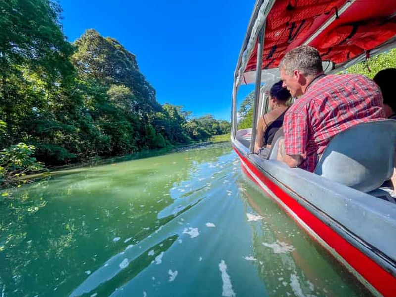 Billet Excursion en bateau à Tortuguero, jardin tropical et plage Maratopia, fruits compris