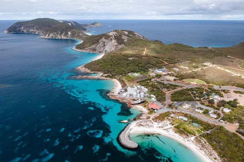 Billet L'histoire des baleines d'Albany