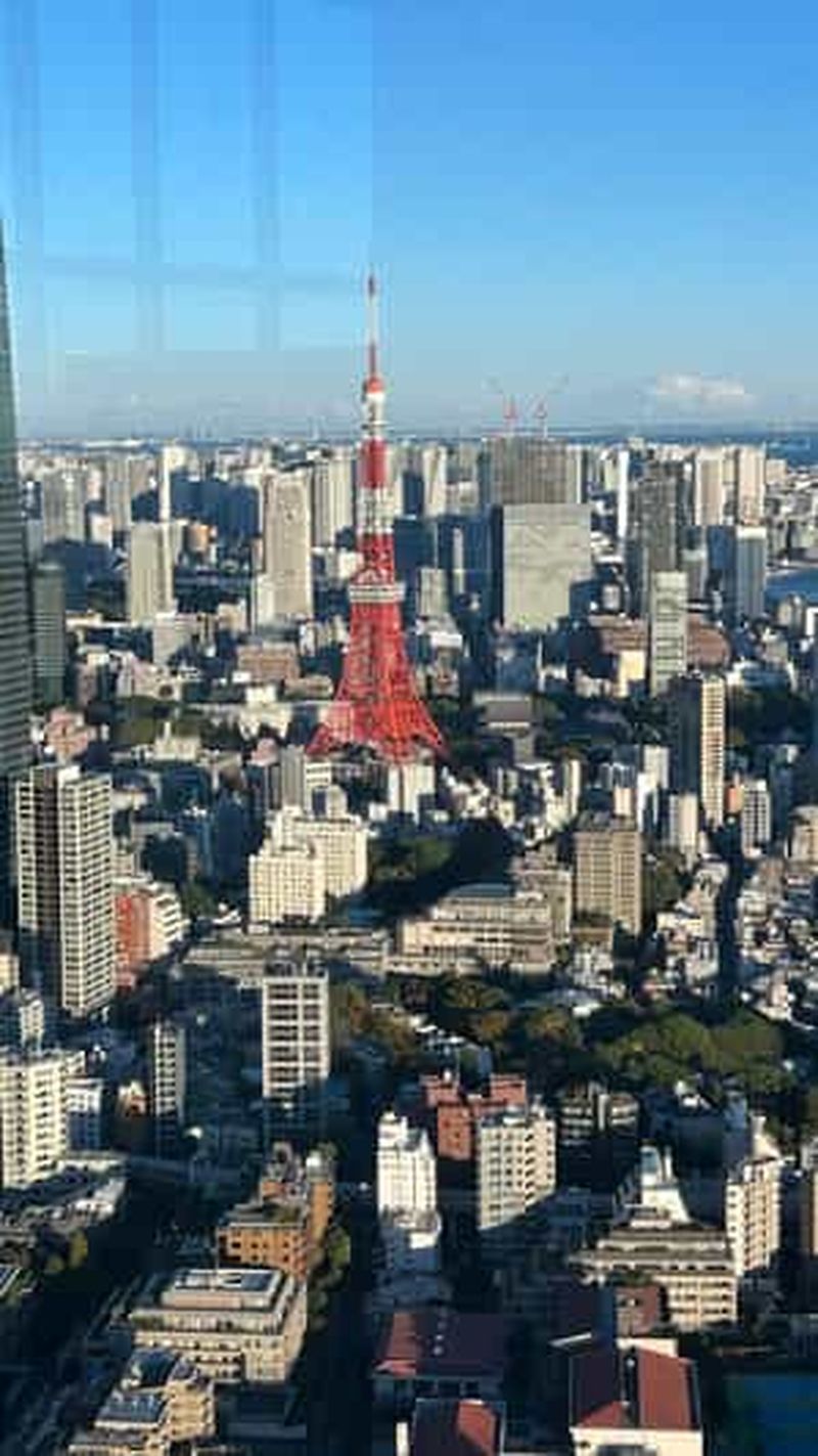 Billet Tokyo : Harajuku, sanctuaire Meiji, parc Yoyogi et coucher de soleil à Roppongi