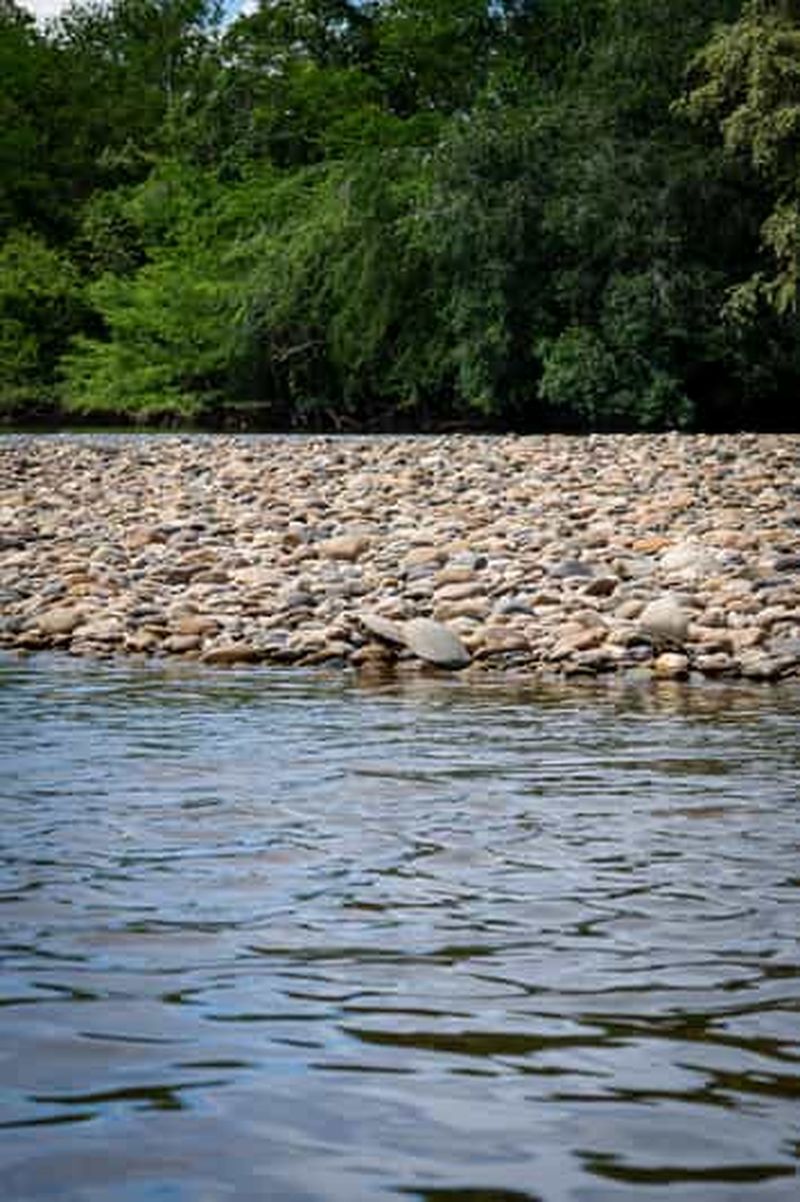 Billet Visite de la communauté Biodiversité Latatacoa Désert Villavieja