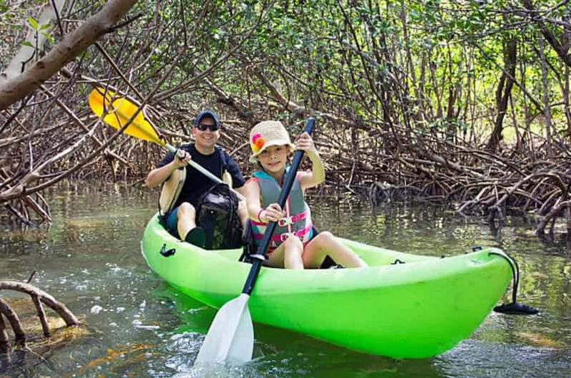 Billet ZANZIBAR : Excursion en kayak dans la forêt de mangroves avec dégustation de fruits