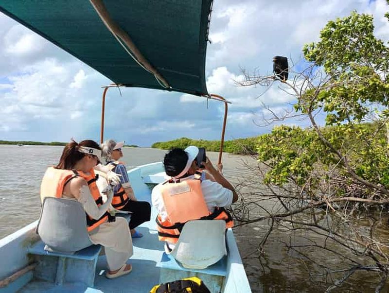 Billet Yucatán : Tour en bateau de la réserve de biosphère de Río Lagartos