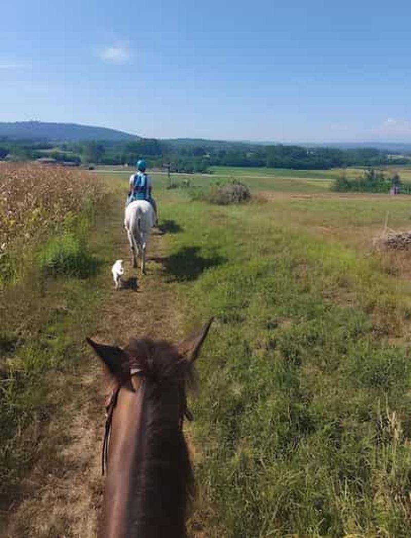 Billet Turin : Promenade à cheval sur les collines d'Albiano d'Ivrea