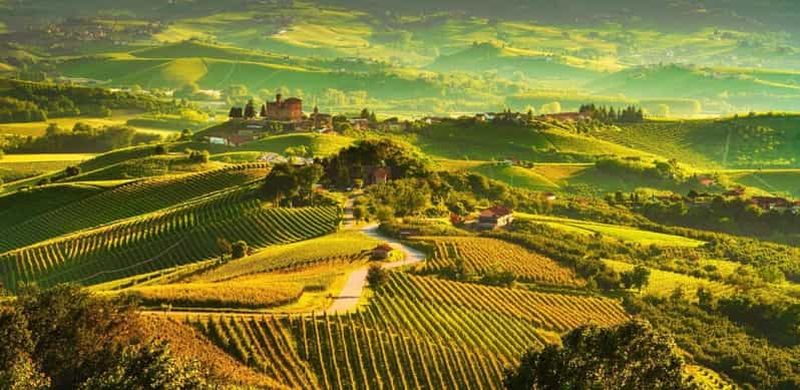 Billet Visite des Langhe avec dégustation de vin (visite privative)