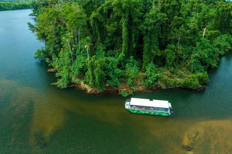 Billet Cairns : Habitat faunique, gorges de Mossman et visite de Daintree