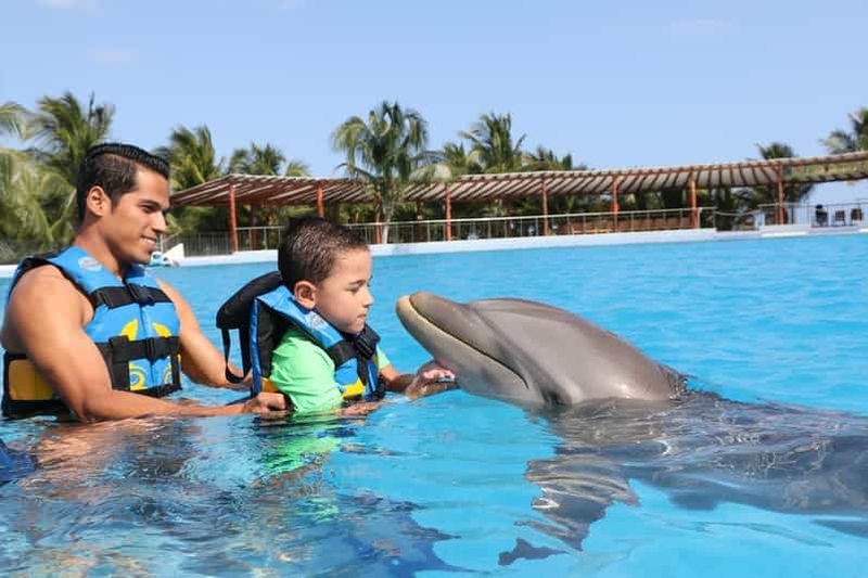 Billet Riviera Maya : Rencontre avec les dauphins avec accès au Beach Club